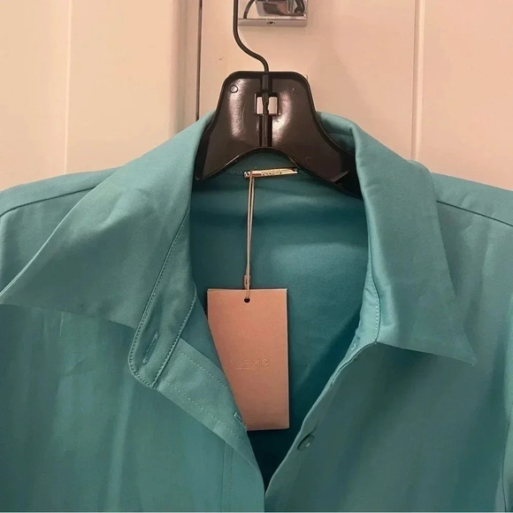 Alexis Brooks Long Puff-sleeved shirt in Cerulean- Size M; New with Tags - Picture 3 of 13